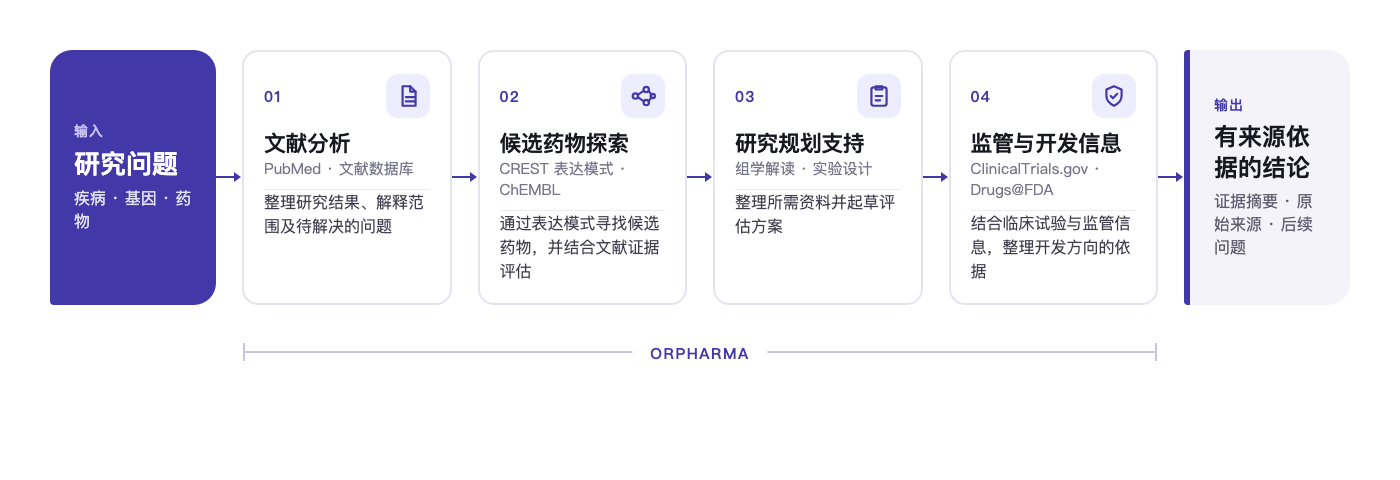 研究问题、文献分析、候选药物探索、研究规划支持、监管与开发信息，以及有来源依据的结论。